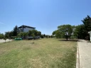 IMG_3593..jpg