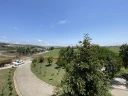 IMG_3533..jpg