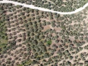 DJI_0140.jpg