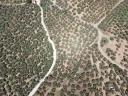 DJI_0142.jpg