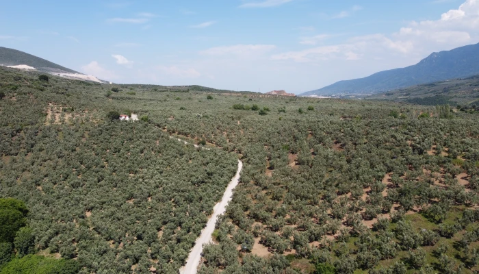 DJI_0163.jpg