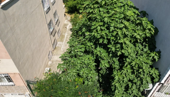 WhatsApp Image 2024-11-20 at 11.52.49 (20).jpg