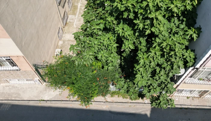 WhatsApp Image 2024-11-20 at 11.52.49 (19).jpg