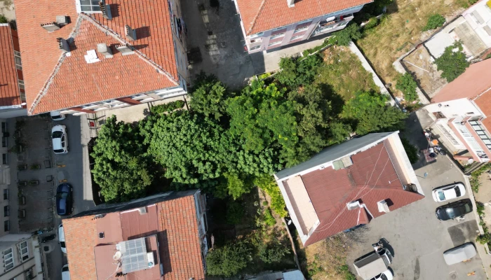 WhatsApp Image 2024-11-20 at 11.52.49 (13).jpg