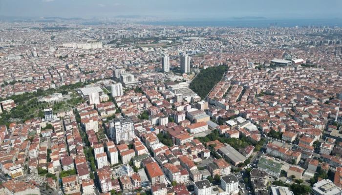 WhatsApp Image 2024-11-20 at 11.52.49 (2).jpg