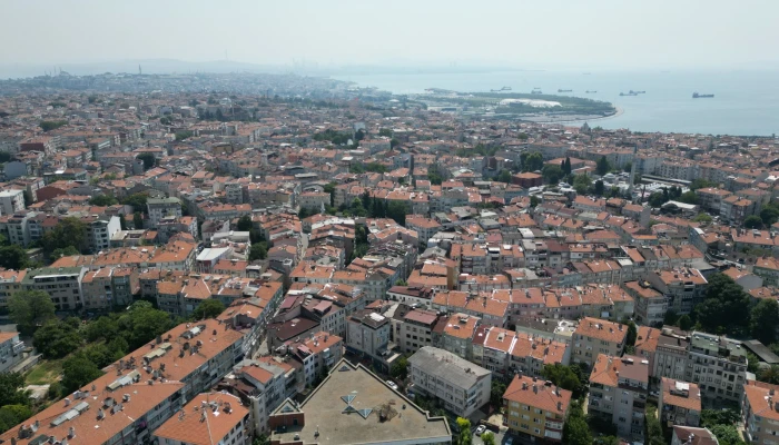 WhatsApp Image 2024-11-20 at 11.52.50 (9).jpg