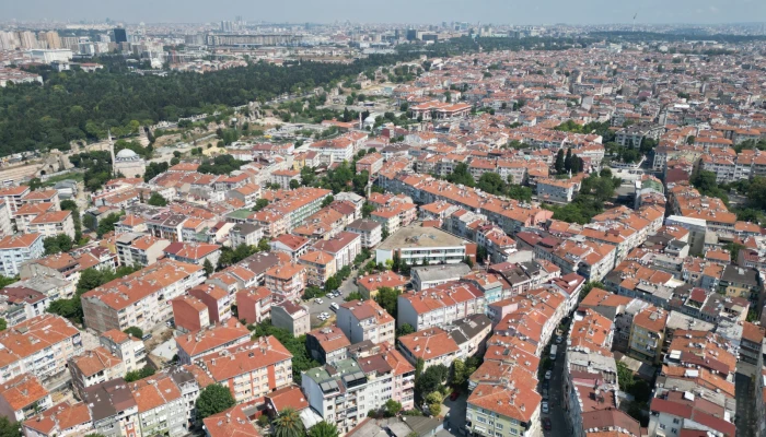 WhatsApp Image 2024-11-20 at 11.52.50 (4).jpg