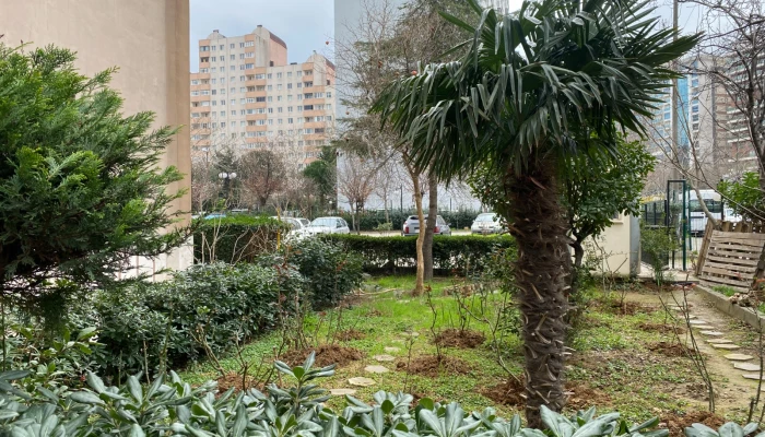 WhatsApp Image 2024-11-20 at 15.13.56 (2).jpg