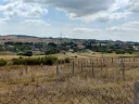 IMG-20241012-WA0046.jpg