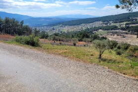İzmir Kemalpaşa Damlacık Köyünde Satılık Arazi
