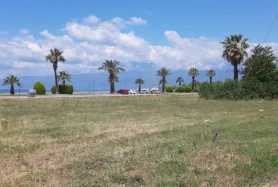 Balıkesir Burhaniye Ören'de Denize Yakın Satılık Arsa