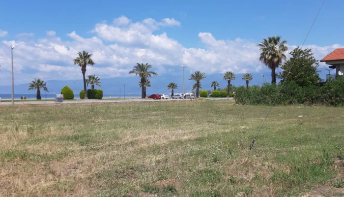 WhatsApp Image 2024-08-02 at 13.44.23 (1).jpg