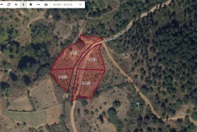 Kiraz Altınoluk'ta 4 Parça Toplamda 8605 m2 Ceviz Bahçesi