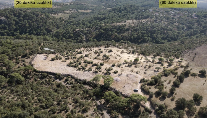 DJI_0031.jpg