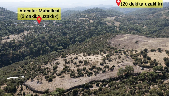 DJI_0037.jpg