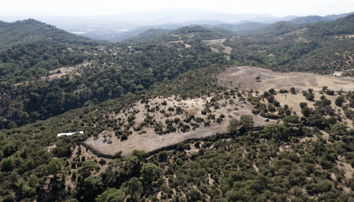 DJI_0037a.jpg