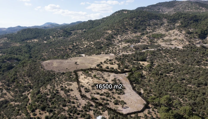 DJI_0044.jpg