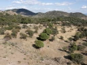 DJI_0050.jpg