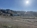 IMG_7146.jpg