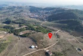 MUDANYA ÇEPNİ'DE DENİZ MANZARALI KÖYE YAKIN TEK TAPU ARAZİ