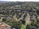 DJI_0510.jpg