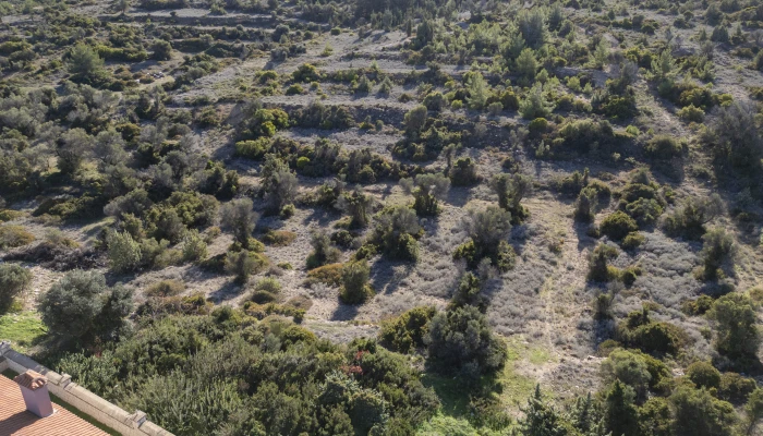 DJI_0510.jpg