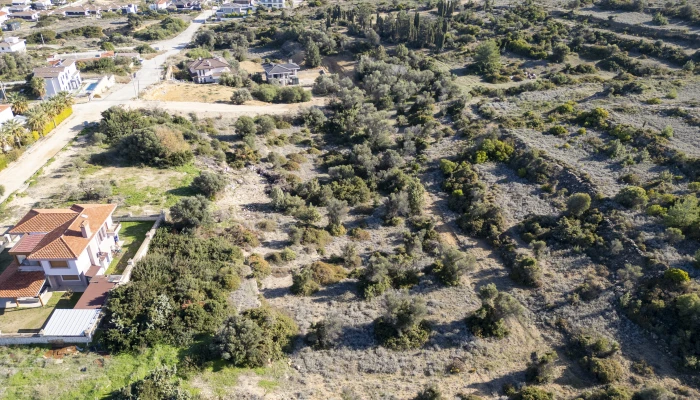 DJI_0514.jpg