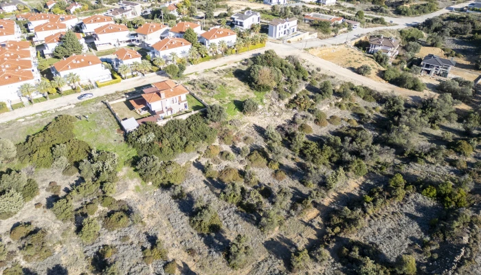 DJI_0516.jpg