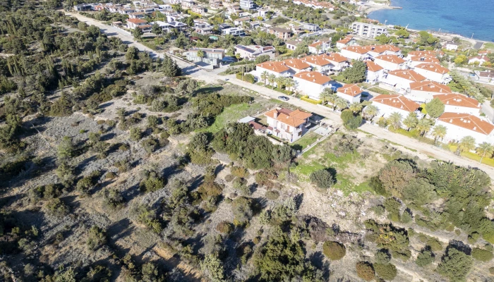 DJI_0523.jpg