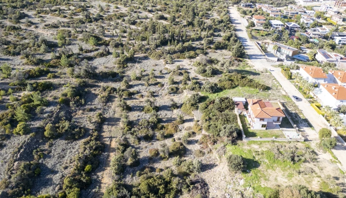 DJI_0526.jpg