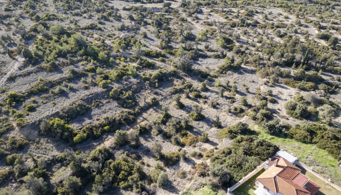 DJI_0529.jpg