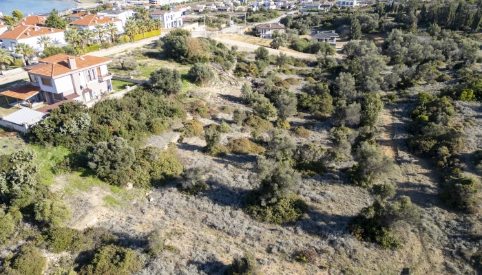 DJI_0540.jpg