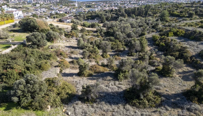 DJI_0541.jpg