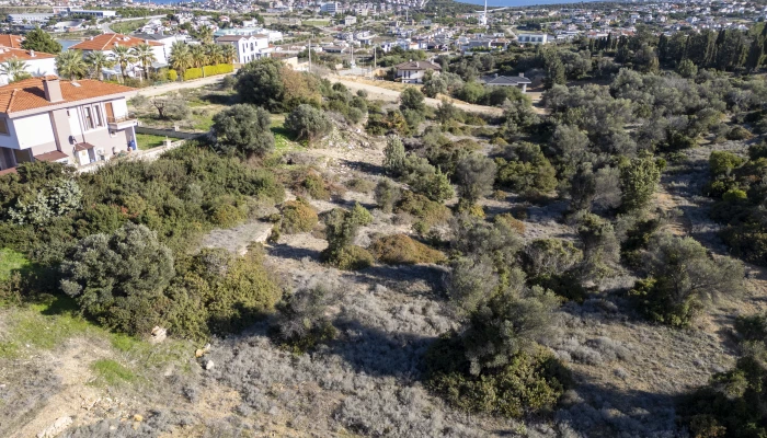 DJI_0542.jpg