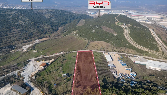 DJI_20241218131702_0004_D.jpg