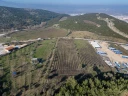 DJI_20241218131725_0005_D.jpg