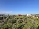 IMG_1329.jpg