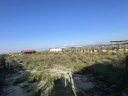 IMG_1326.jpg