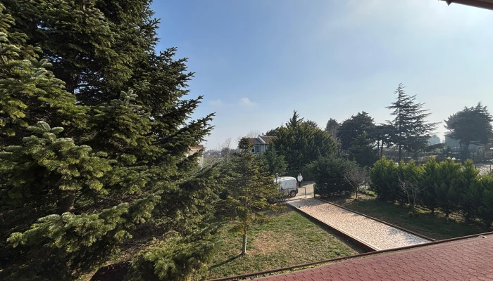 WhatsApp Image 2025-02-02 at 17.39.56 (2).jpg