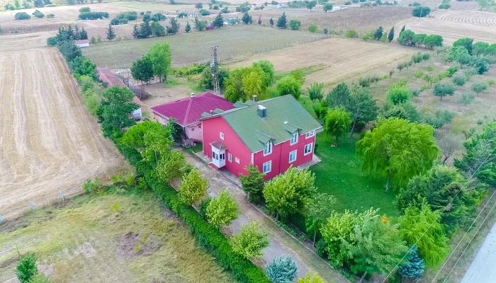 DJI_0001.MOV_000053737.jpg