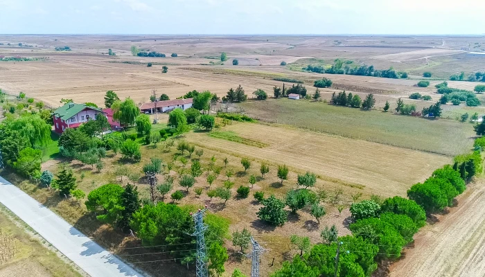 DJI_0001.MOV_000403219.jpg