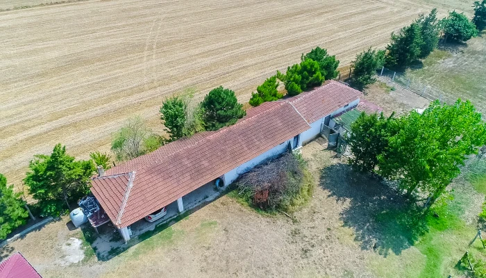DJI_0002.MOV_000080613.jpg