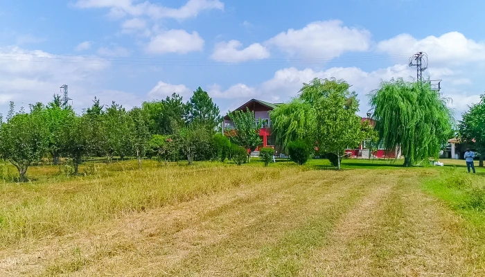 DJI_0002.MOV_000238504.jpg