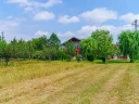 DJI_0002.MOV_000238504.jpg
