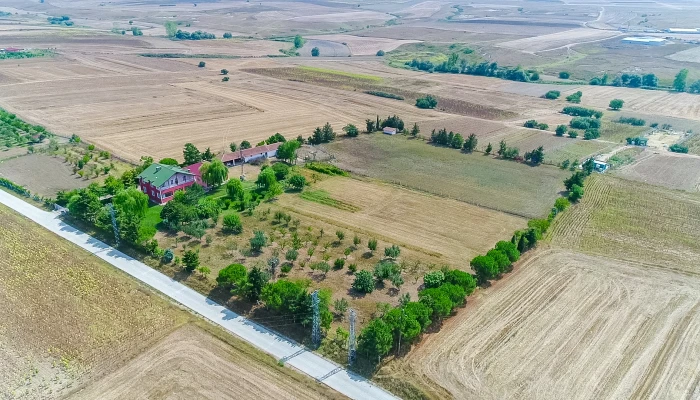 DJI_0001.MOV_000371204.jpg