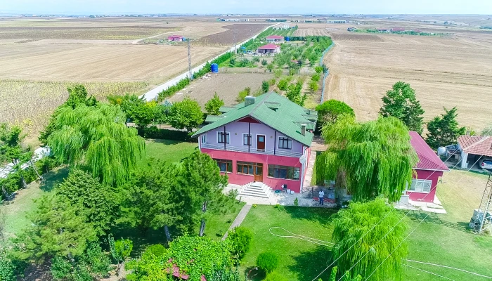 DJI_0002.MOV_000028812.jpg
