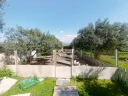 IMG20250404142250.jpg