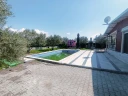 IMG20250404142319.jpg