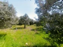 IMG20250404142350.jpg