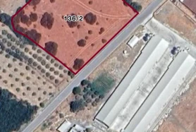 Doğanın kalbinde, Bergama Kaşıkçı'da tarla